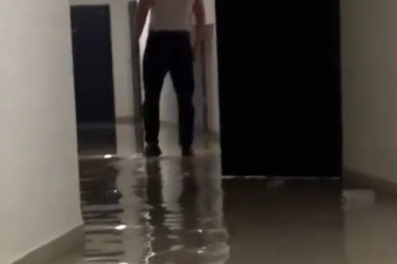 Фото: primamedia.ru