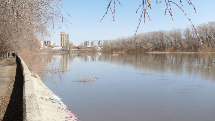 Новым руководителем сельскохозяйственного департамента Зауралья назначен опытный управленец 2f9368fb-7872-44da-87da-37463323eae3-67e1a4c9