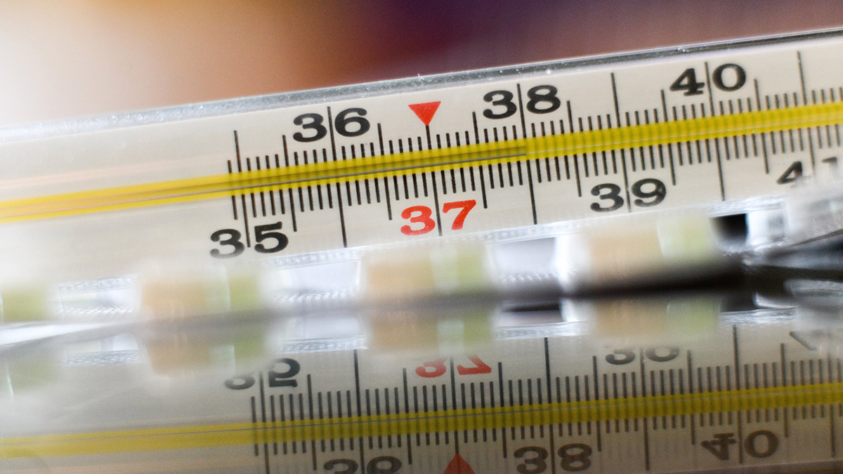 В России оптимизируют систему временной нетрудоспособности для улучшения здоровья граждан 38be6878-1a1d-4aba-9ebd-74420e3c313d-67d38773