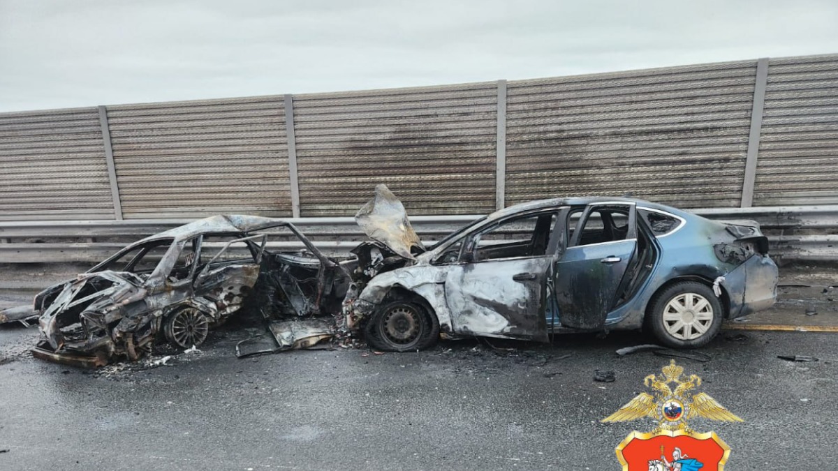 Водитель без прав устроил смертельное ДТП в подмосковной Истре