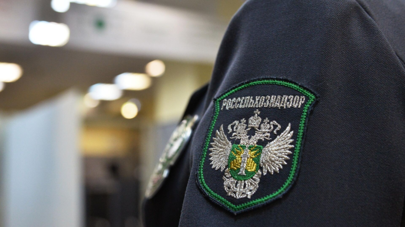 Челябинский Россельхознадзор демонстрирует рекордную эффективность в 2024 году e3b3a29e-7e12-452f-8533-d758fec90b3a-67d32d5a