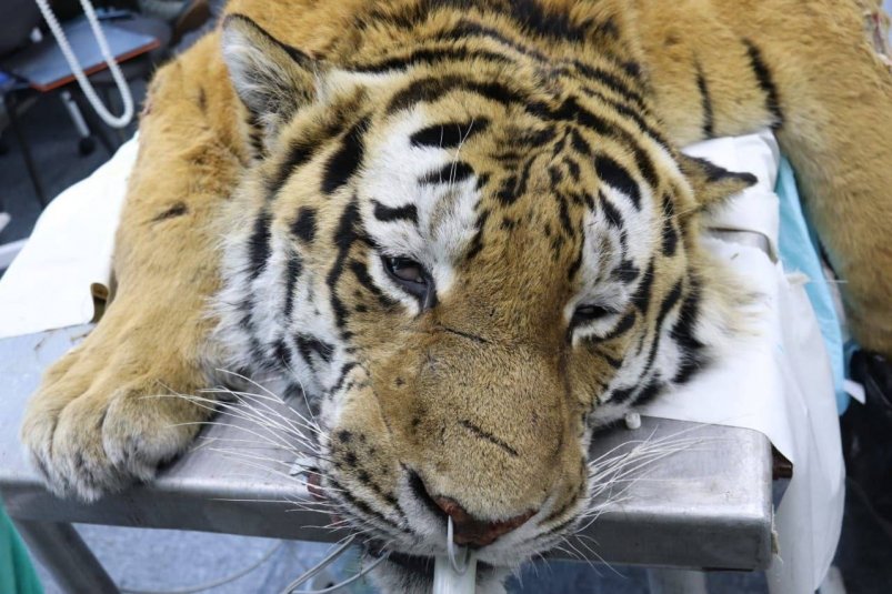 20d89aa9-2bdb-4dd8-9206-2872ed3a4fd3-680537bf