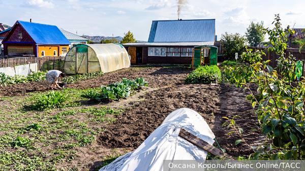 Дачникам рекомендовали эффективный способ защиты растений в жаркий сезон 6a632631-8c04-4f92-b5c0-4825f77e9ce8-67f6f5bc