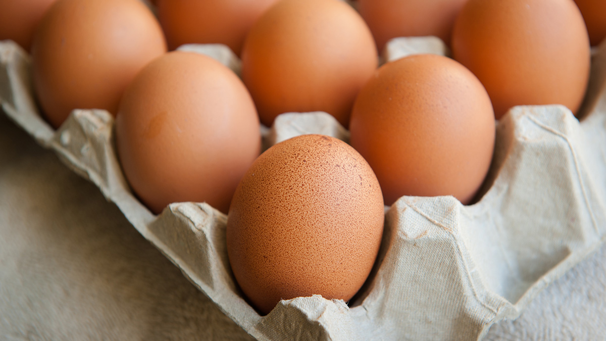 Позитивные изменения на продуктовом рынке России Egg,,Chicken,Egg