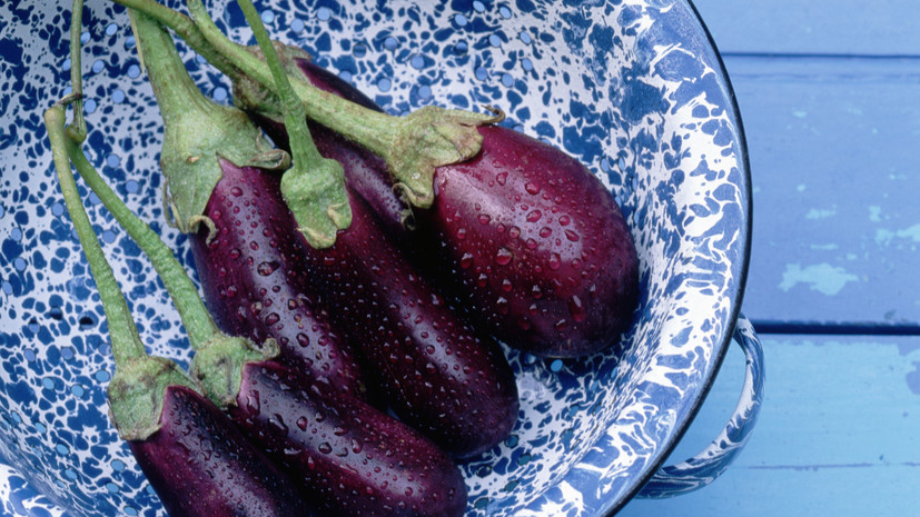 Диетолог Королёва назвала полезные свойства баклажана