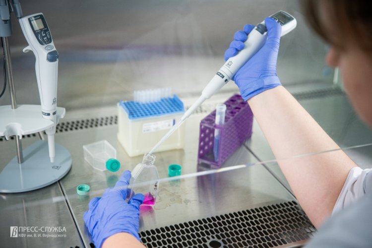 82612aa0-6351-4169-8050-0bd997cff26e-680bb52a