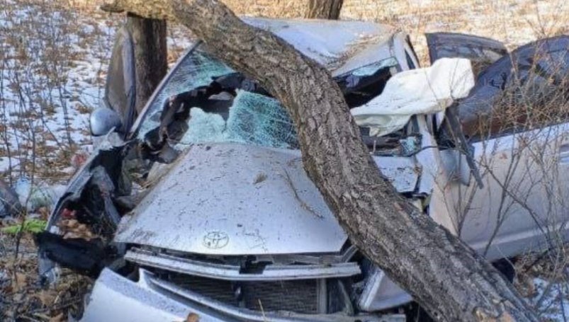 Своевременная помощь спасателей помогла пострадавшим в ДТП на приморской трассе 9cfa5fc1-b686-4926-ac9f-3befb93cb136-67f5675e