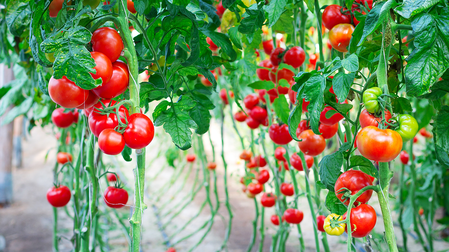 b0854e09-b00d-44e5-8fde-63d296d2e973-67f44932