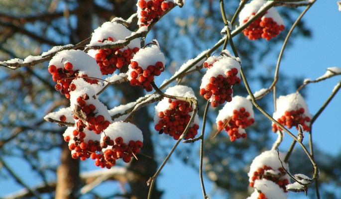 День Сергея Зимнего и народные традиции 20 октября dec4777c-af62-4f48-abca-e89c32df4ce0-67fa783b