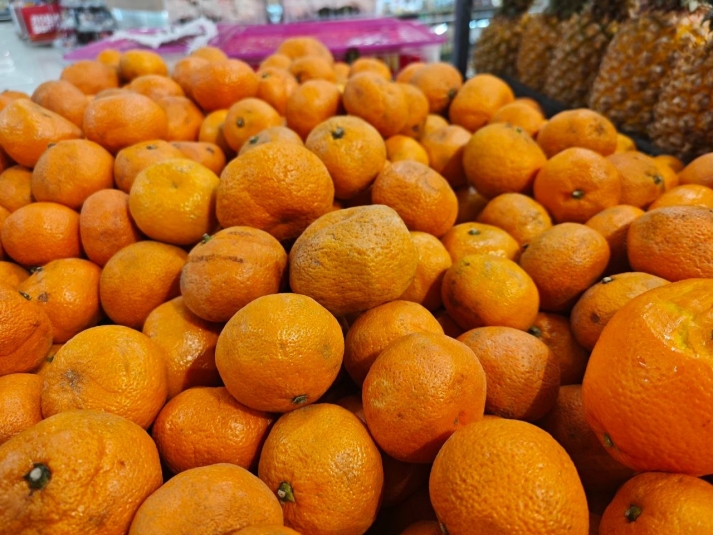 Фото: primamedia.ru