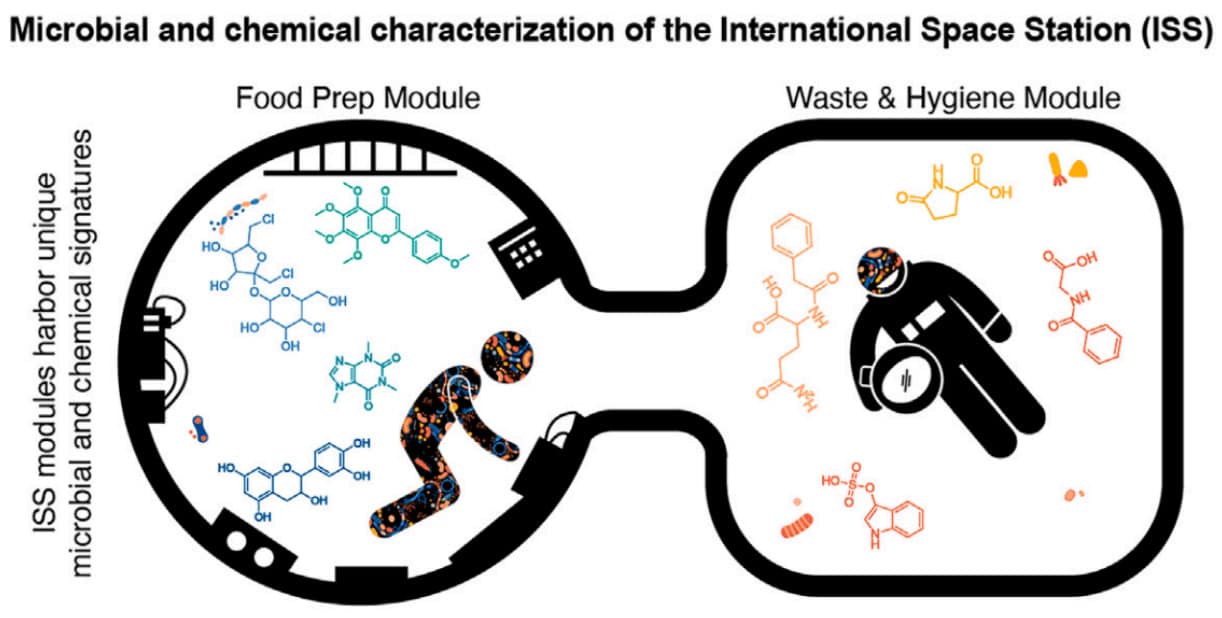 novyj vzglyad na mikrobiom kosmicheskih stanczij-dmvv-ru-174071094000-0