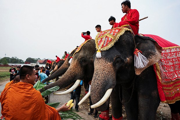 13 марта: яркие праздники России и мира 13 marta yarkie prazdniki rossii i mira-dmvv-ru-174182033900-0