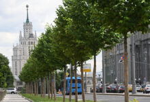 Берег реки Лубянка в ТиНАО открыт для жителей после ликвидации самостроя bereg reki lubyanka v tinao otkryt dlya zhitelej posle likvidaczii samostroya-dmvv-ru-174289484400-0