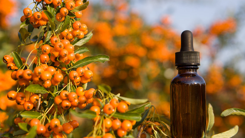 Целебная сила облепихового масла при борьбе с насморком czelebnaya sila oblepihovogo masla pri borbe s nasmorkom-dmvv-ru-174171754200-0