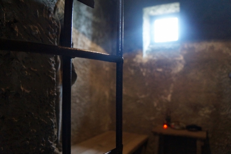 ФСБ Приморья пресекла незаконный сбор краснокнижного мацутакэ гражданином Китая fsb primorya presekla nezakonnyj sbor krasnoknizhnogo maczutake grazhdaninom kitaya-dmvv-ru-174197600800-0