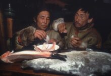 gastronomicheskie chudesa krajnego severa kopalhen mantak i ngajbat-dmvv-ru-174305298800-0