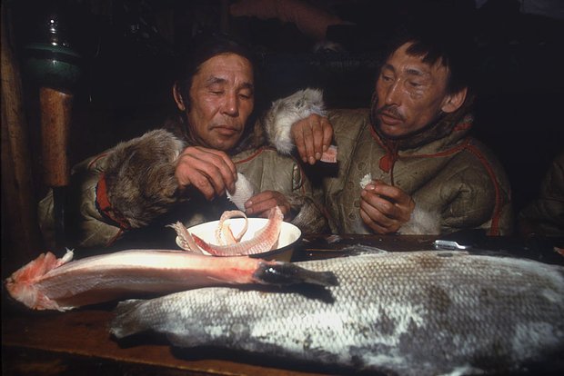 Вводная картинка