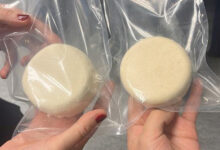 Гибридный сыр от Копенгагенского университета сочетает гороховый белок и казеин gibridnyj syr ot kopengagenskogo universiteta sochetaet gorohovyj belok i kazein-dmvv-ru-174231420100-0