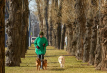 Март 2025 в Москве может стать самым теплым в истории по данным Метео Городские жанры и виды Москвы 16 марта