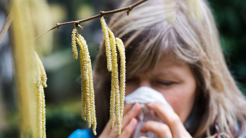 Ольха стала основным провокатором весенней аллергии olha stala osnovnym provokatorom vesennej allergii-dmvv-ru-174121342600-0