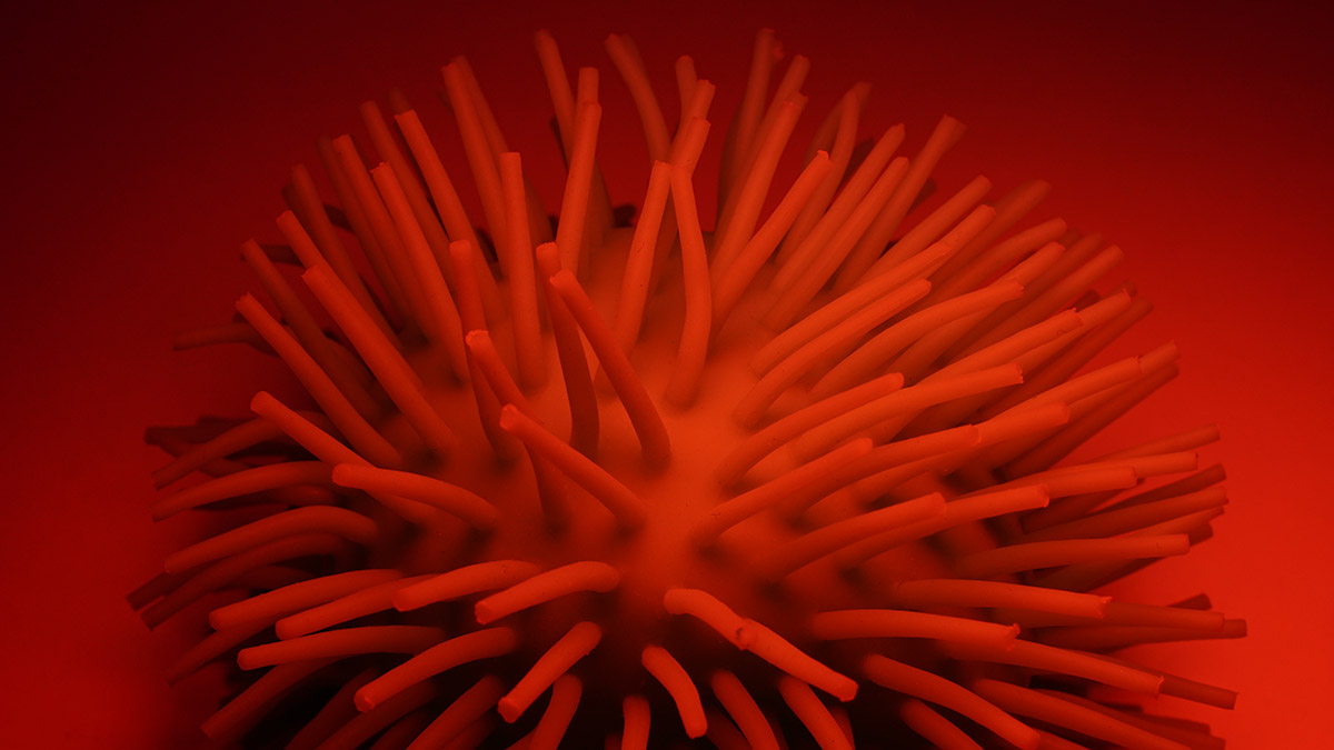 Нет вакцины: ВОЗ предупредила о распространении смертоносной лихорадки Судан