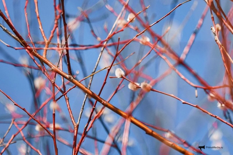 Примгидромет прогнозирует ясные выходные в Приморье после ухода циклона primgidromet prognoziruet yasnye vyhodnye v primore posle uhoda cziklona-dmvv-ru-174204195900-0