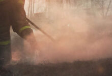 Приморский край внедряет умные камеры Лесохранитель для защиты от пожаров primorskij kraj vnedryaet umnye kamery lesohranitel dlya zashhity ot pozharov-dmvv-ru-174249400000-0