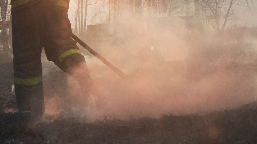 В Приморье разместили более 30 умных камер для выявления лесных пожаров