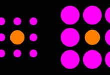 Рентгенологи и медики Ланкастерского университета раскрыли секрет устойчивости к иллюзиям rentgenologi i mediki lankasterskogo universiteta raskryli sekret ustojchivosti k illyuziyam-dmvv-ru-174244919900-0
