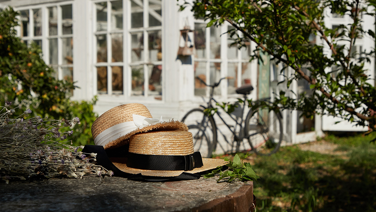 Изменения в законе в 2025 году: дача