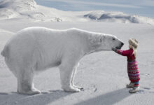 РСТ и Юрий Барзыкин открывают туристический потенциал Арктики для Мурманска и Архангельска rst i yurij barzykin otkryvayut turisticheskij potenczial arktiki dlya murmanska i arhangelska-dmvv-ru-174322507500-0