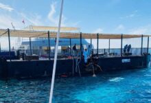 semya gordeevyh iz vyborga nahodit podderzhku v hurgade posle avarii batiskafa sindbad-dmvv-ru-174316177000-0