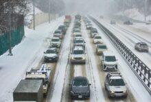 Школы Владивостока переходят на свободное посещение в связи с прогнозом Примгидромета shkoly vladivostoka perehodyat na svobodnoe poseshhenie v svyazi s prognozom primgidrometa-dmvv-ru-174302055200-0