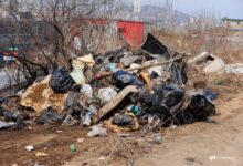 В Находке обсудили действия администрации и Росимущества по очистке территории СПТУ-46 v nahodke obsudili dejstviya administraczii i rosimushhestva po ochistke territorii sptu46-dmvv-ru-174285194700-0