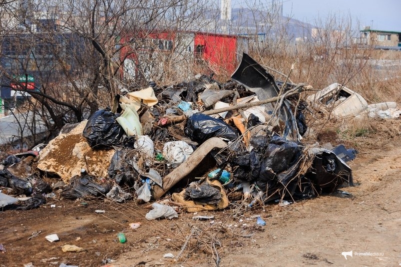 Фото: primamedia.ru