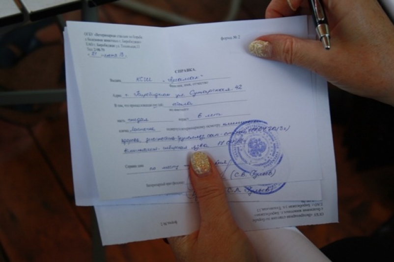 Владивосток и Уссурийск в фокусе УТ МВД России по ДФО после выявления поддельных медсправок vladivostok i ussurijsk v fokuse ut mvd rossii po dfo posle vyyavleniya poddelnyh medspravok-dmvv-ru-174188904300-0