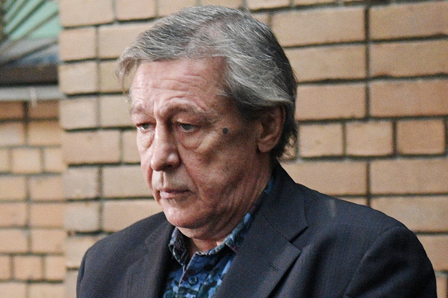 Алексей Герман-младший пригласит Михаила Ефремова в фильм о Сергее Эйзенштейне-0