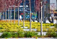 Андрей Бочкарев рассказал о новой инфраструктуре на ТПУ "Варшавская" andrej bochkarev rasskazal o novoj infrastrukture na tpu varshavskaya-dmvv-ru-174564922500-0