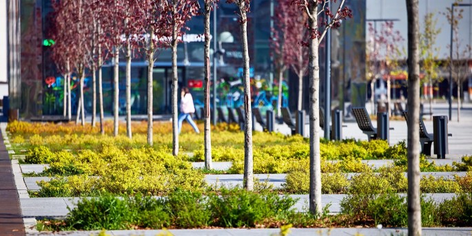 Какую инфраструктуру построят в ходе формирования ТПУ "Варшавская"