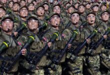 Андрей Колесник рассказал о роли КНДР в боях за Курскую область и реакции Путина andrej kolesnik rasskazal o roli kndr v boyah za kurskuyu oblast i reakczii putina-dmvv-ru-174583994600-0