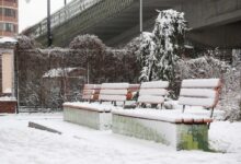 Циклон Зион дарит Москве и Санкт-Петербургу зимнюю сказку в апреле cziklon zion darit moskve i sanktpeterburgu zimnyuyu skazku v aprele-dmvv-ru-174392419000-0