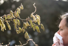 Дарья Чернушевич из СберЗдоровье объясняет, как похолодание помогает аллергикам darya chernushevich iz sberzdorove obyasnyaet kak poholodanie pomogaet allergikam-dmvv-ru-174558591900-0