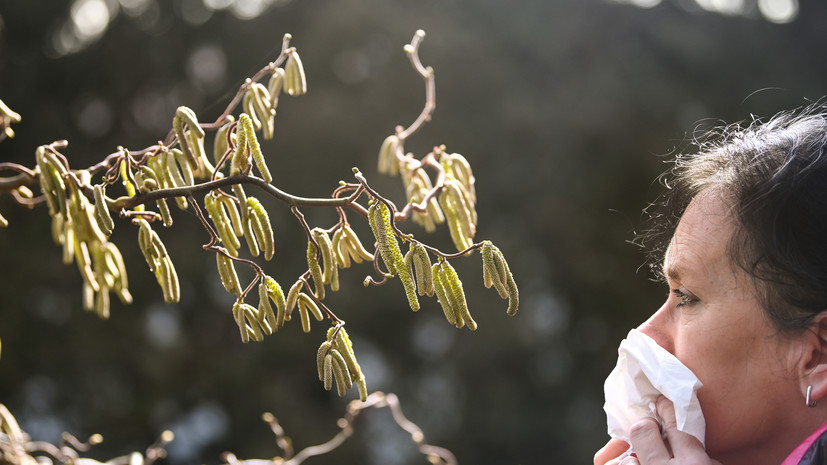 Врач: похолодание значительно облегчает симптомы у людей с сезонной аллергией