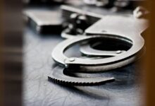 Генпрокуратура депортировала Александра В. из Таиланда для суда в Арсеньеве genprokuratura deportirovala aleksandra v iz tailanda dlya suda v arseneve-dmvv-ru-174595809200-0