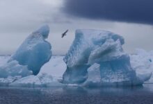 Исследования РАН и Е. Котовой подтверждают сокращение зимы в Арктике на 10 дней issledovaniya ran i e kotovoj podtverzhdayut sokrashhenie zimy v arktike na 10 dnej-dmvv-ru-174547480200-0