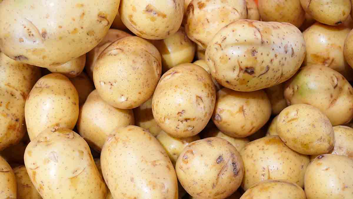 Россиянам назвали продукт питания, который подешевеет к июлю