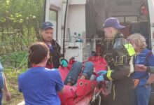 Мальчик с ДЦП найден в лесу Москвы после поисков malchik s dczp najden v lesu moskvy posle poiskov-dmvv-ru-174526031200-0