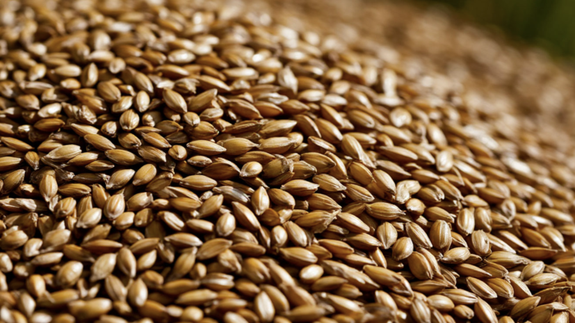 Масложировой союз предложил ввести пошлины на масличный лён