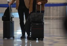 rosaviacziya i aeroporty moskvy ukreplyayut zashhitu ot bpla dlya bezopasnyh poletov-dmvv-ru-174372195900-0