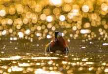 Солнечная погода в Приморье - ясный день 17 апреля во Владивостоке и Уссурийске solnechnaya pogoda v primore yasnyj den 17 aprelya vo vladivostoke i ussurijske-dmvv-ru-174507083300-0